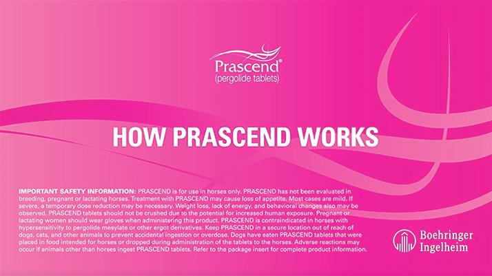 How Prascend works video thumbnail